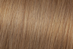 Clip In Extensions: Ash Blonde #12