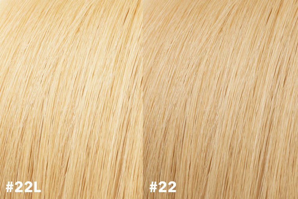 SAVE 20%  Clip-In Extensions #22L