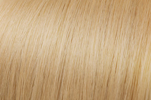 Clip In Extensions: Light Golden Blonde #22