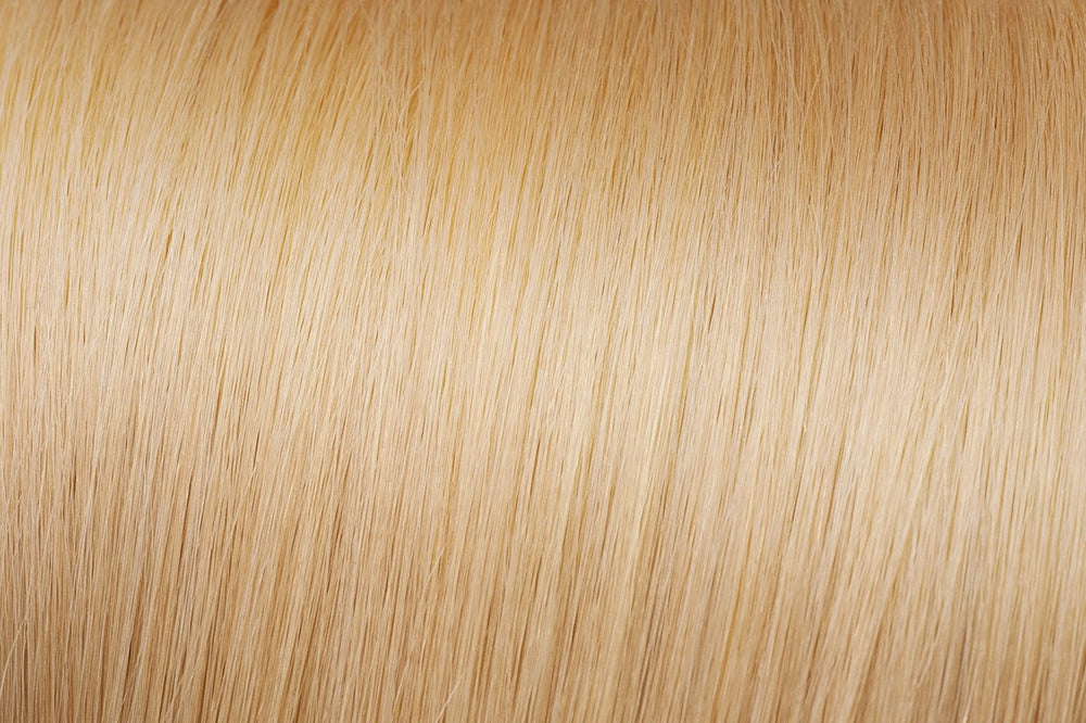 Clip In Extensions: Medium Golden Blonde #24