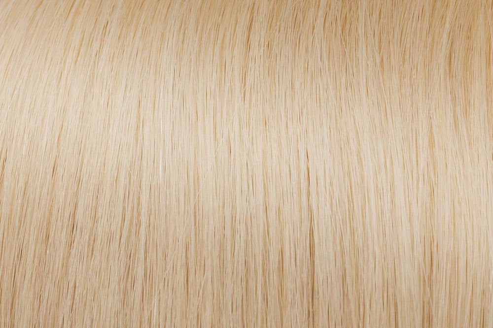 Clip In Extensions: Lightest Ash Blonde #60